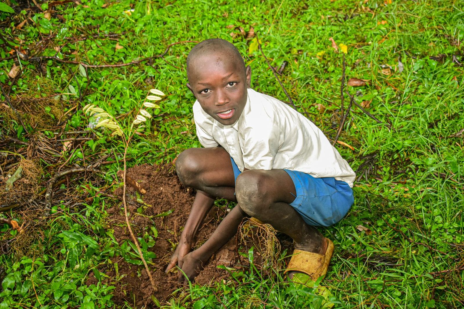 Kenyan boy planting a tree seedling in Migori County reforestation program