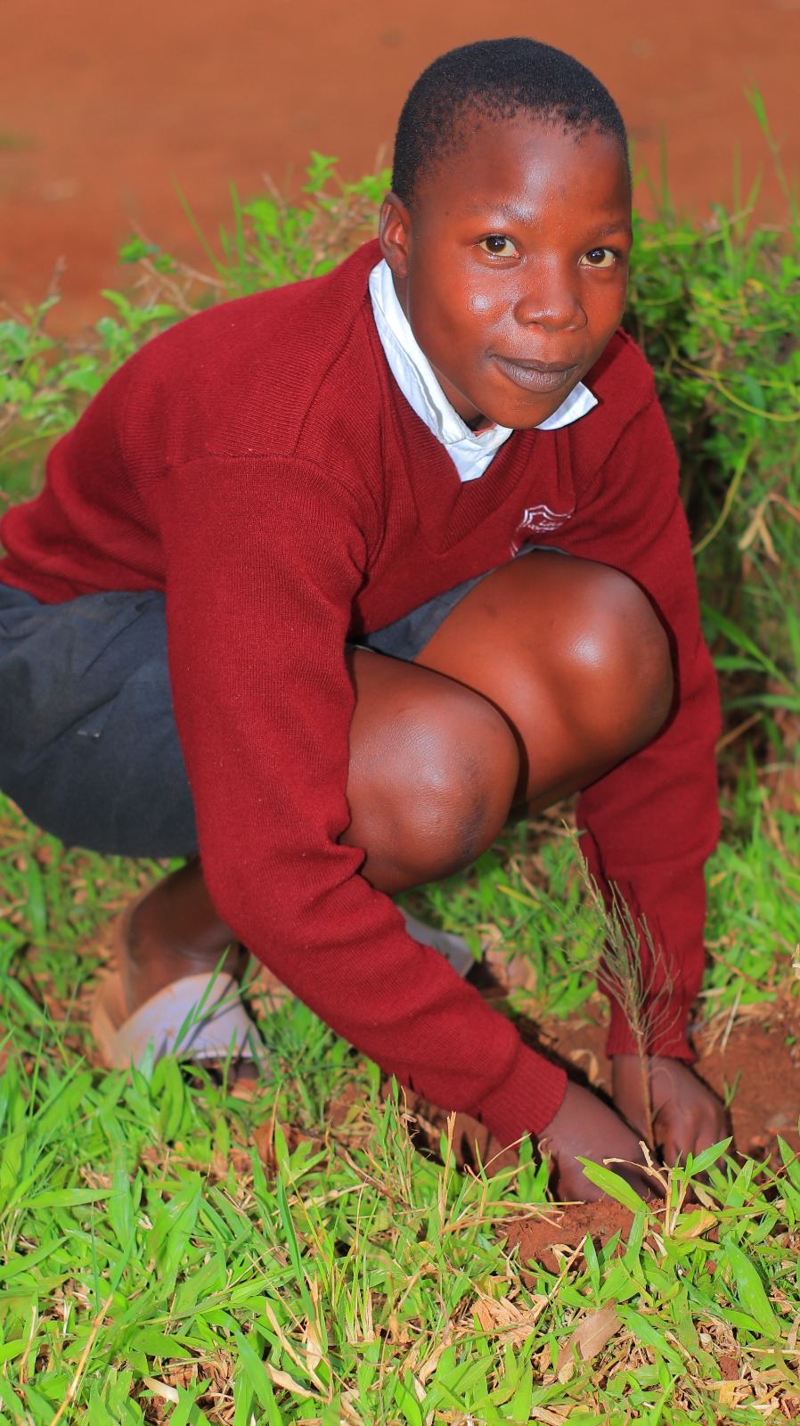 Student crouching to plant seedling in Migori County
