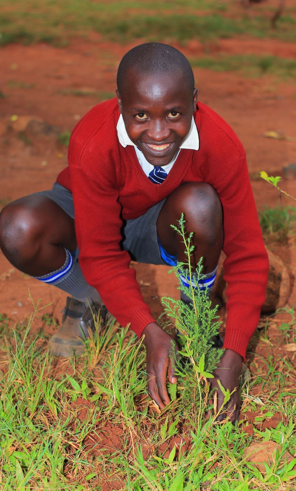 Girl planting small tree with shovel in Kenya