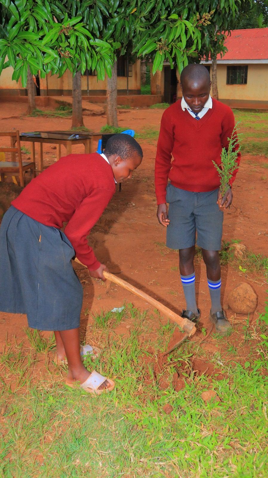 Boy in blue shirt holding young plant for Steve Thami Foundation