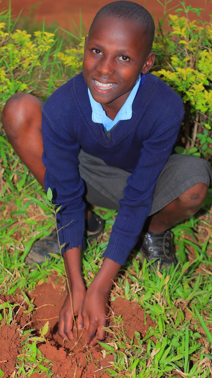 Two students crouching together planting seedlings